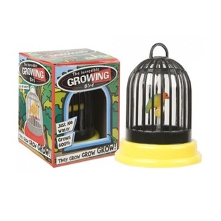 P&aacute;jaro Creciente en Jaula (24 uds.)